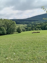 lakatildi fotója