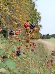 lakatildi fotója