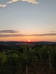 lakatildi fotója