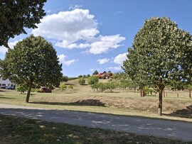 Hajmás