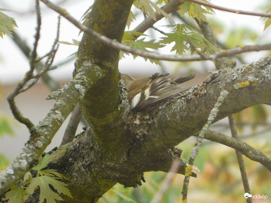 Vajon kényelmes lesz?