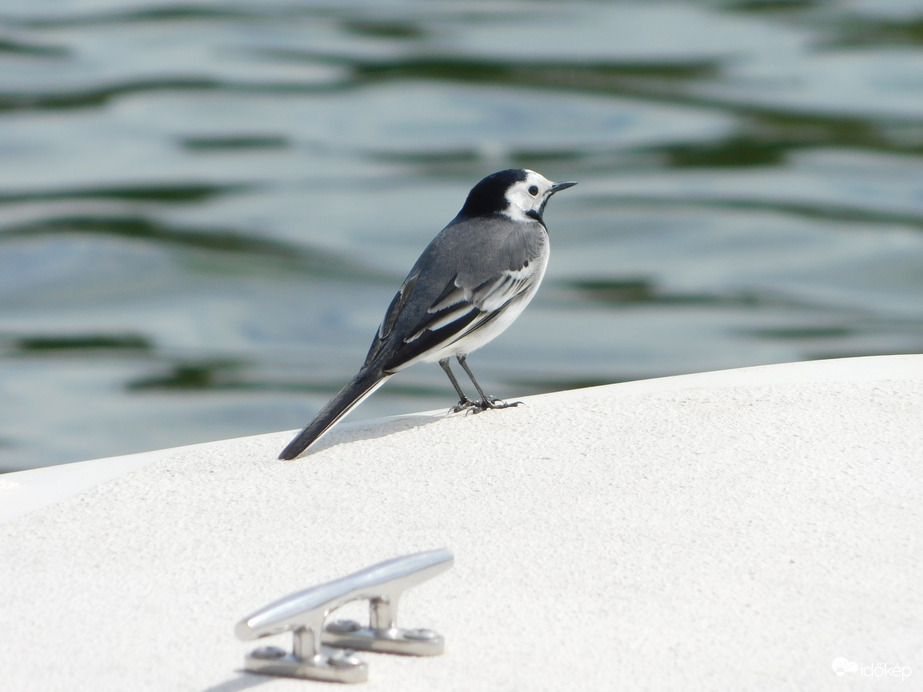 Kapitánnyá léptem elő!