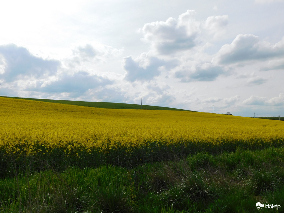 Ameddig a szem ellát