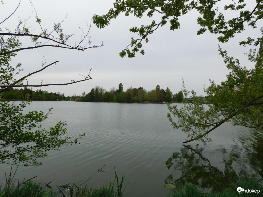 Nyugalom, szürkeség