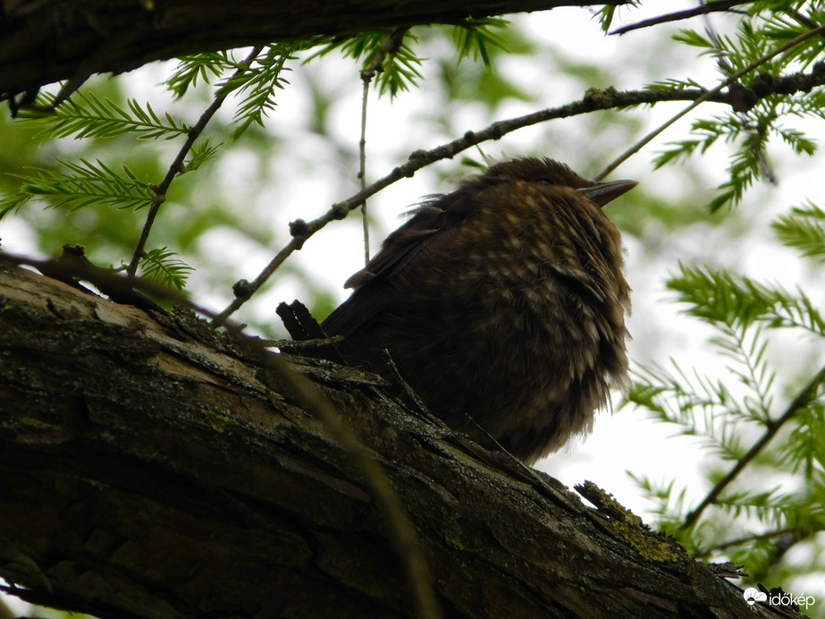 Itt jó helyen vagyok?