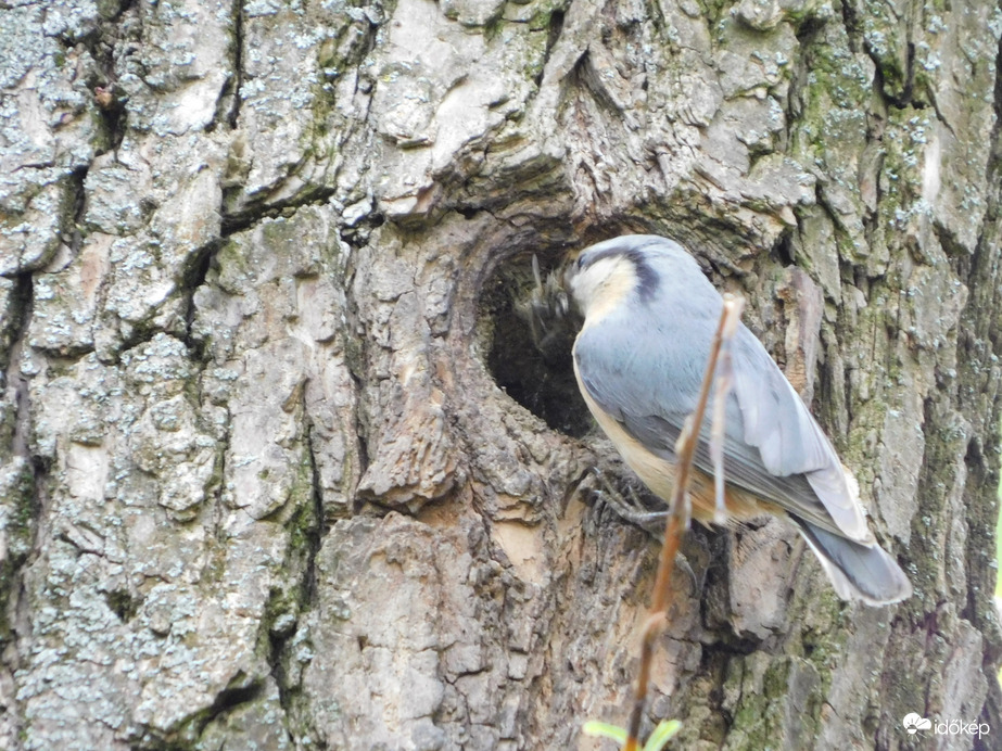 Tudósítás Csuszkáéktól