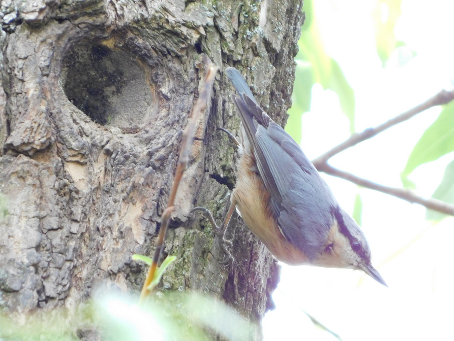 Tudósítás Csuszkáéktól