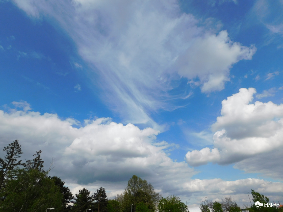 Fátylak és gomolyok