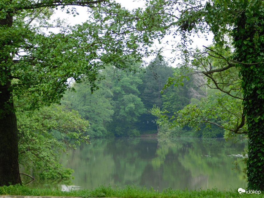 Zöldbe öltözött a Horgásztó környéke