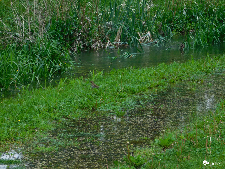 Elöntötte az utat is
