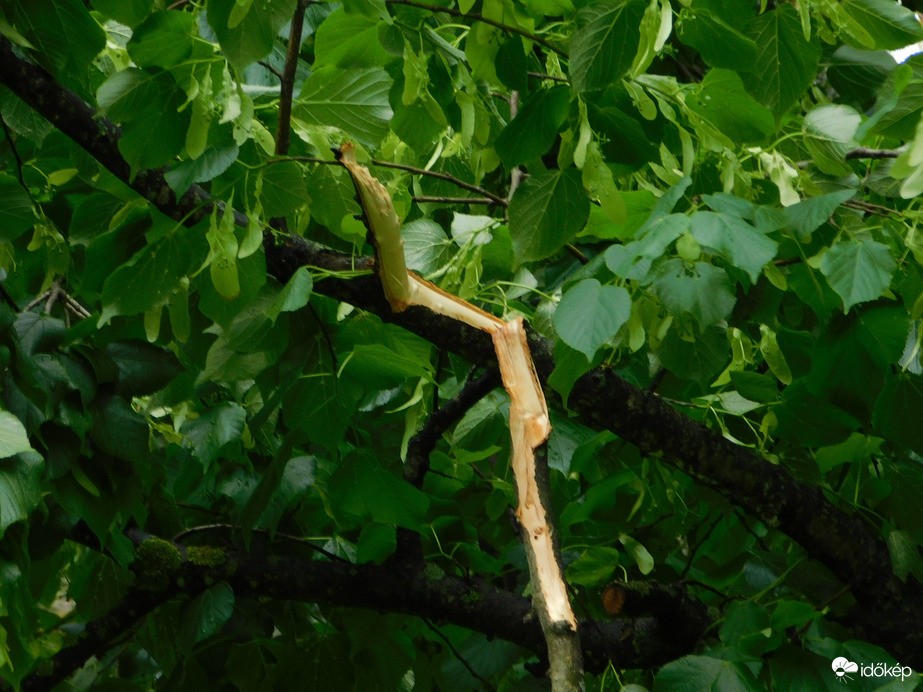 A viharos szél nyomai
