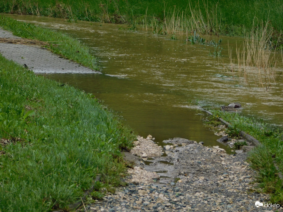 Tovább áradt az Arany-patak