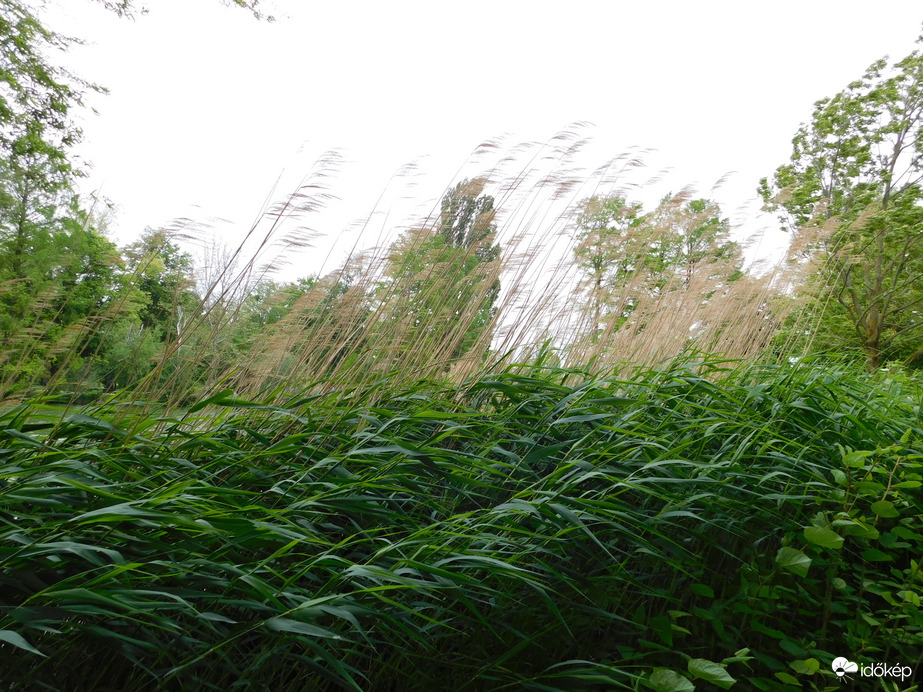 Ma délután is viharos szél volt