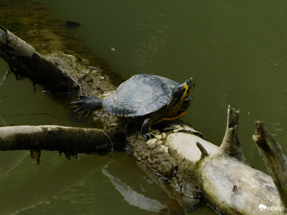 Jó egy kis nyújtózás