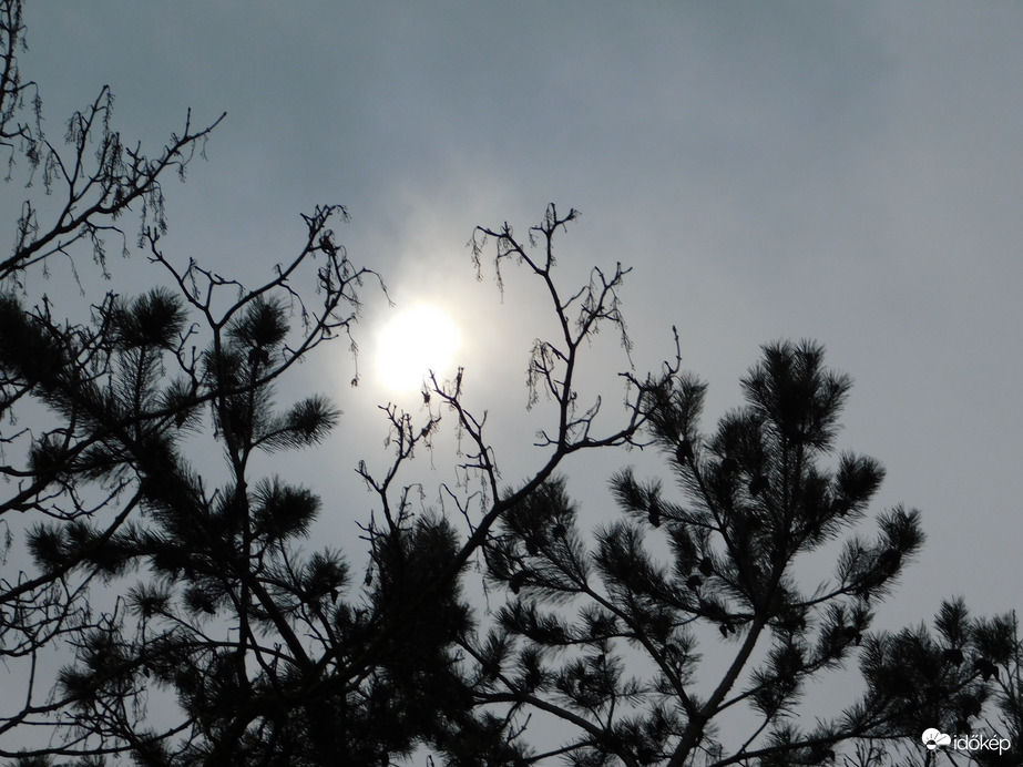 Néhány percre kikukucskált