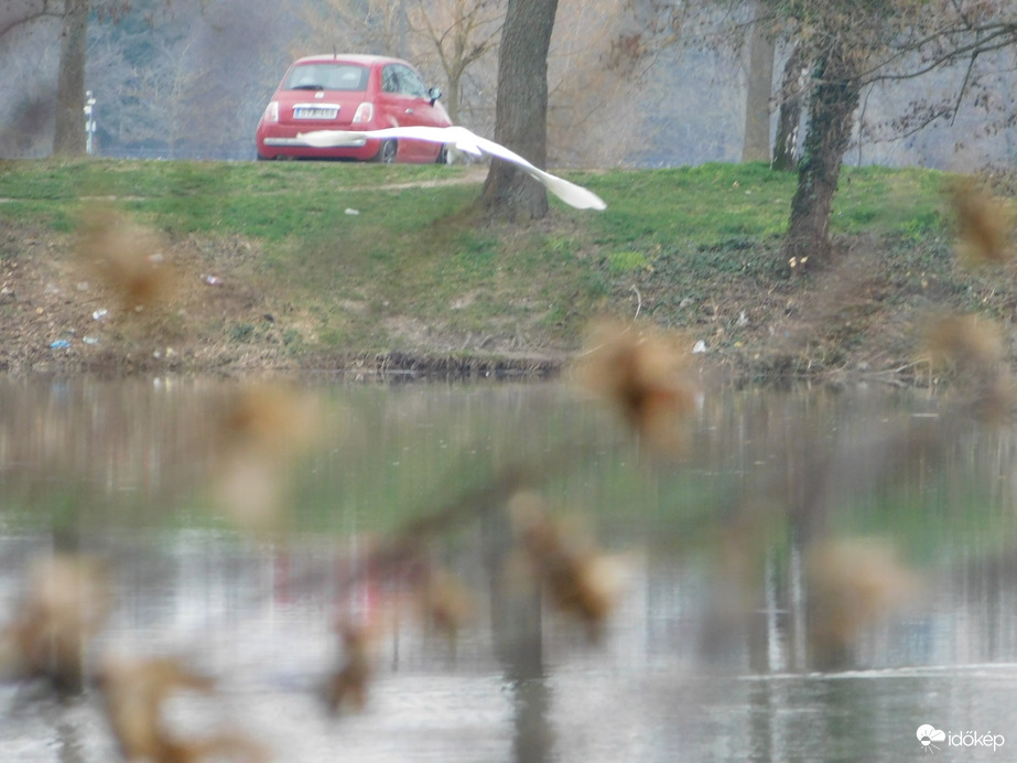 Suhanás a tó felett