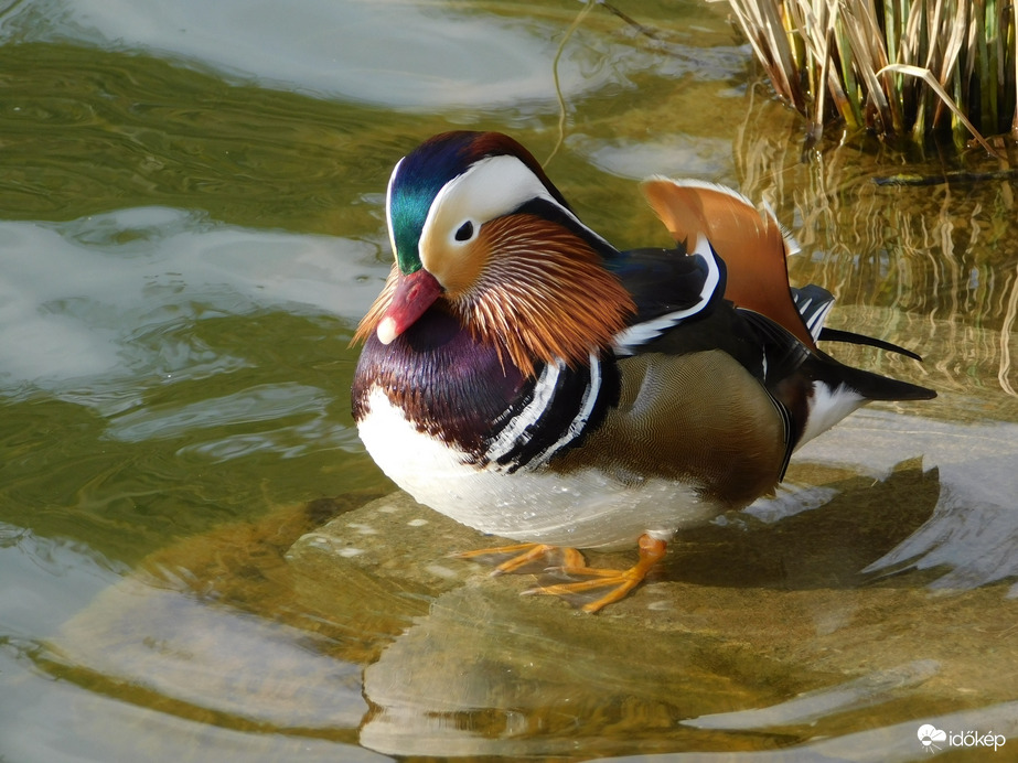 Helyet változtattam