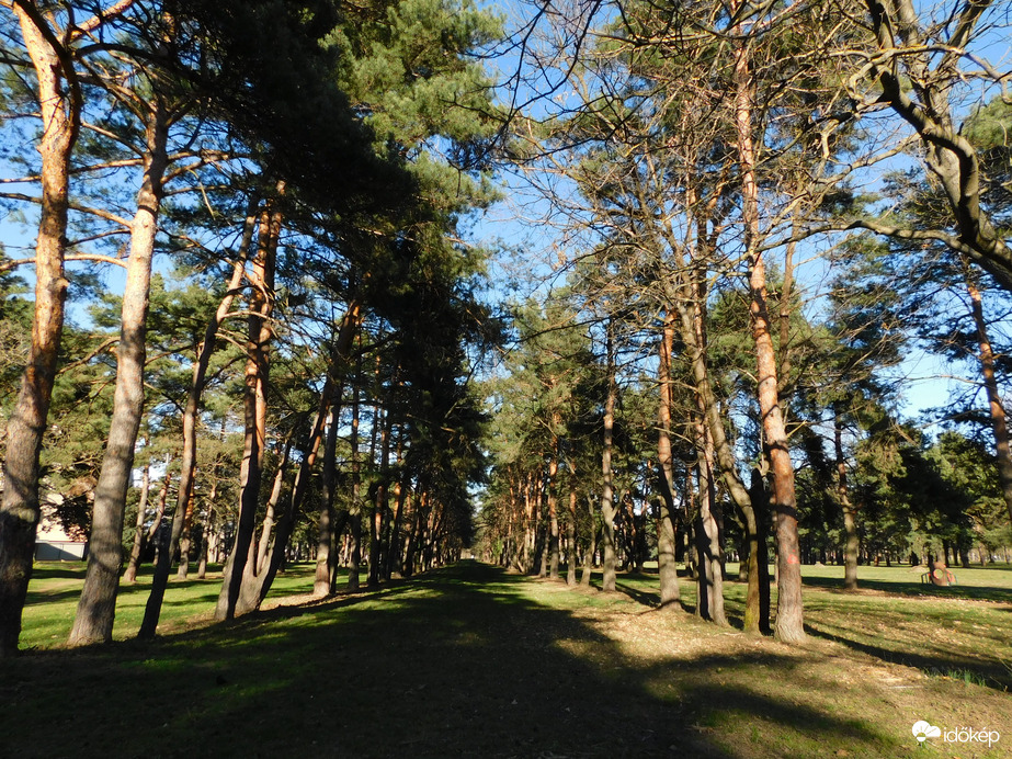 Árnyékok és fények