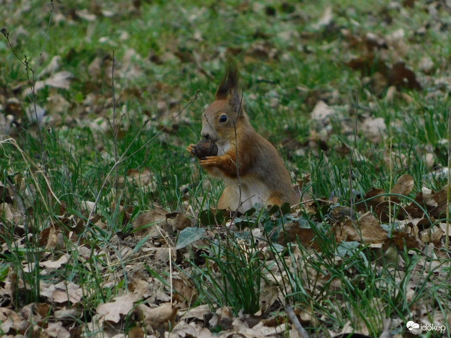 Nézd, mit találtam!
