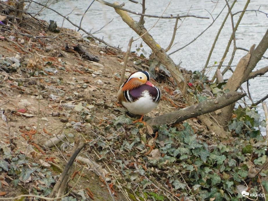 Pihenő a kis szigeten
