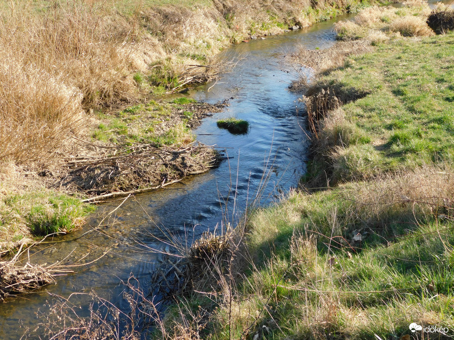 Zöldül a patakpart