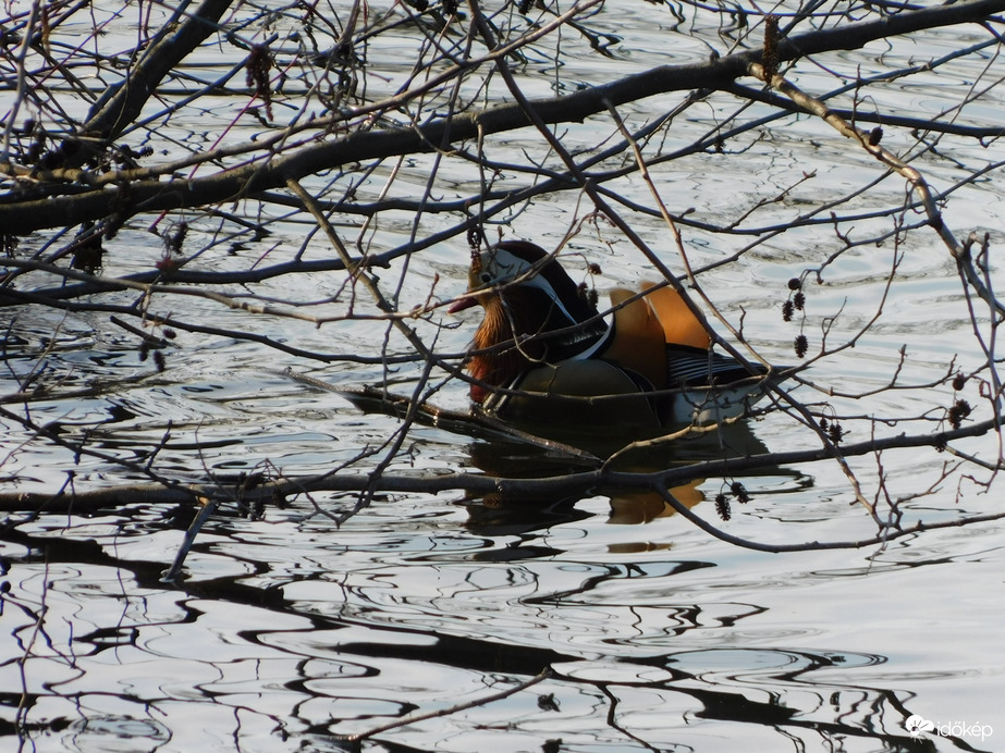Sietek, mert bújócskázunk