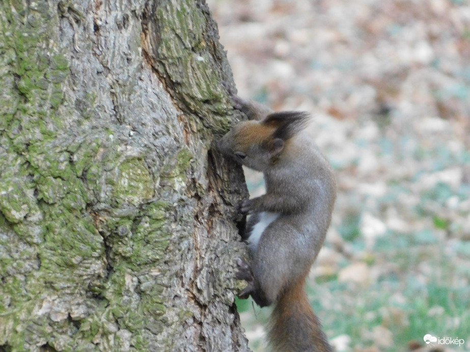 Ezt is megkóstolom!