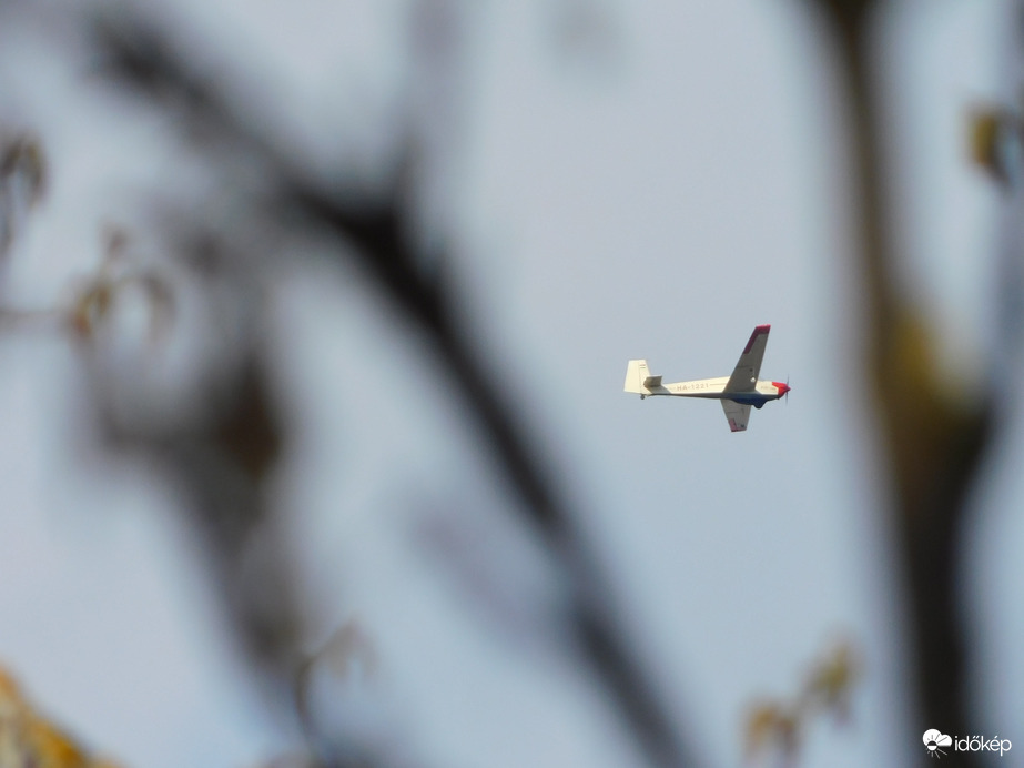 Faágak között megvillanó