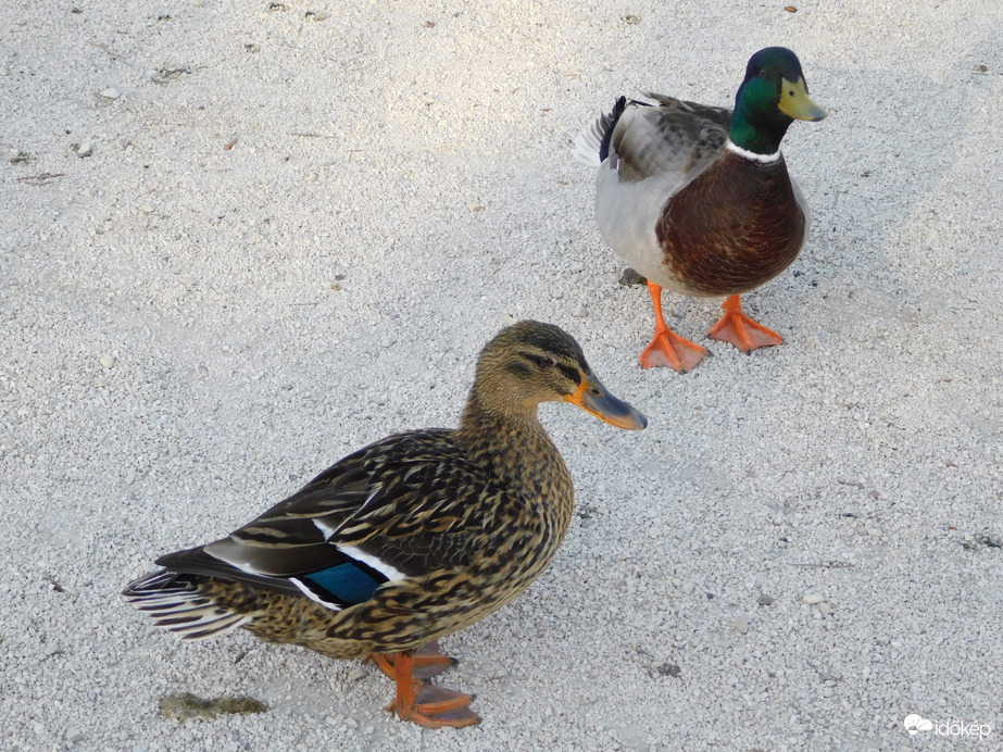 Megálltunk egy fotóra