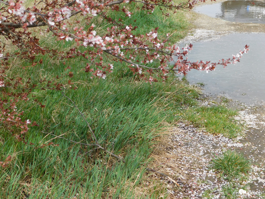 A viharos szél eredménye