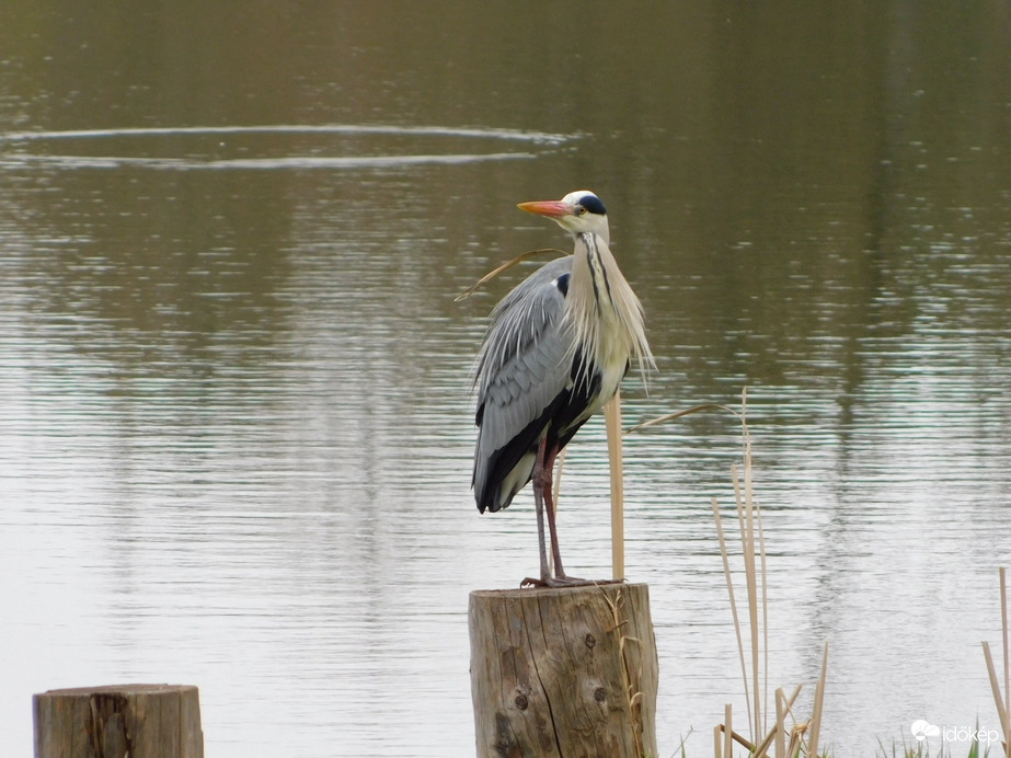 Így is szép vagyok?