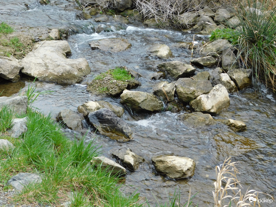Zöldül az Aranypatak partja