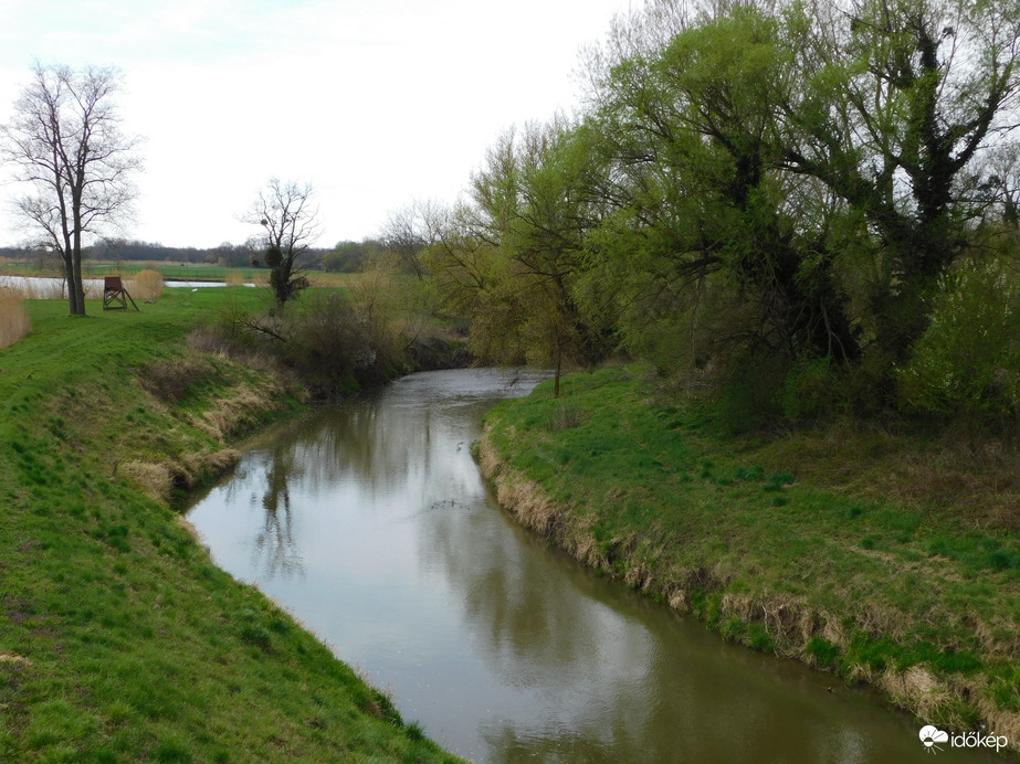 A Rába Ikervárnál