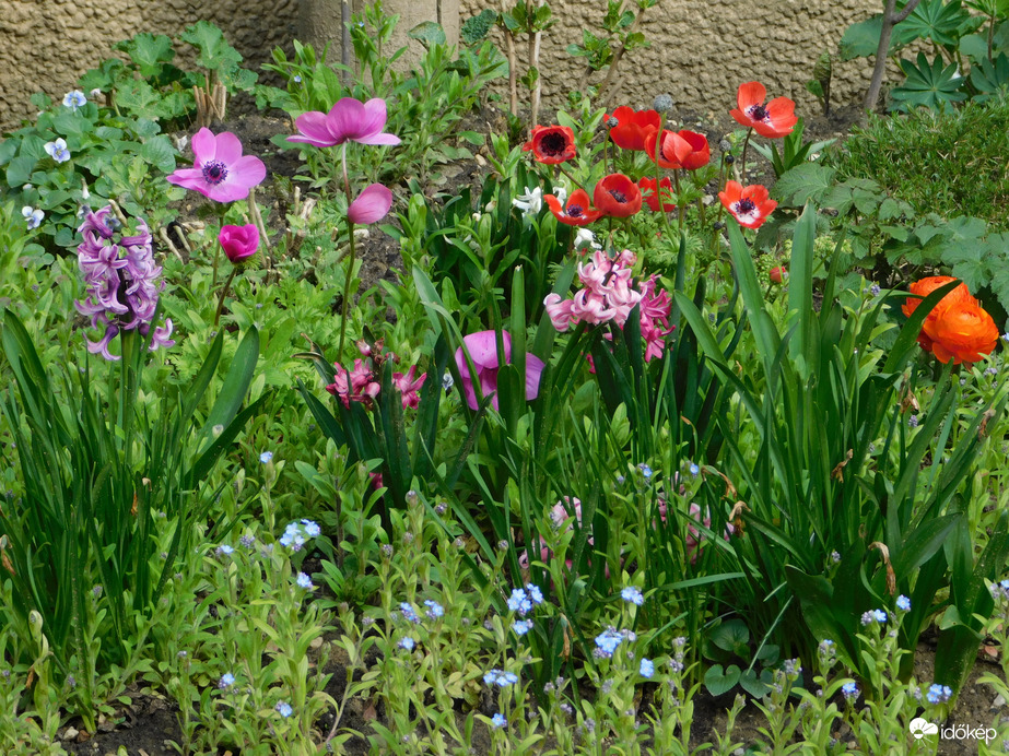 Tavasz a lakótelepen
