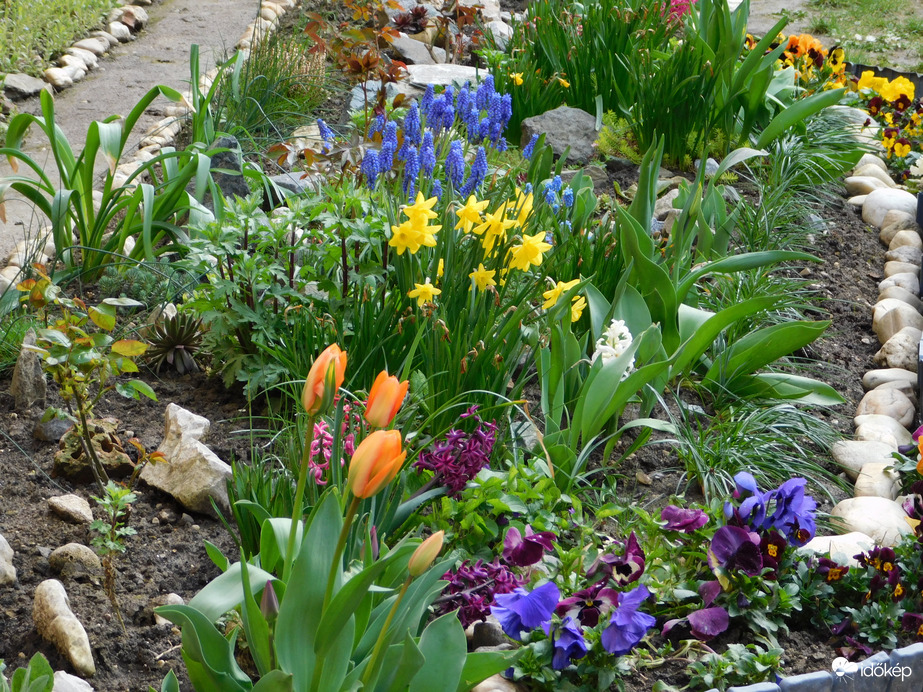 Tavasz a lakótelepen