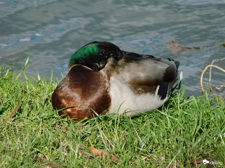 Azért így is szemmel tartlak!