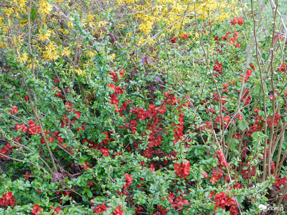 Tavasz a lakótelepen