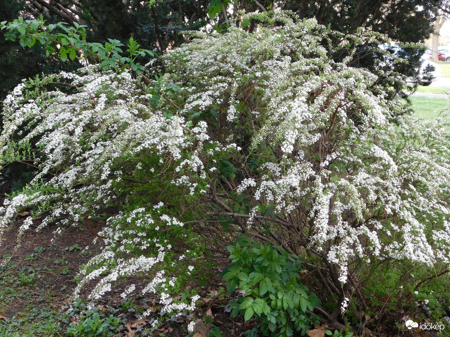 Tavasz a lakótelepen