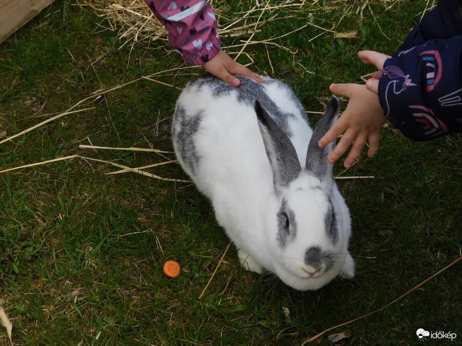 Húsvéthétfő a Falumúzeumban