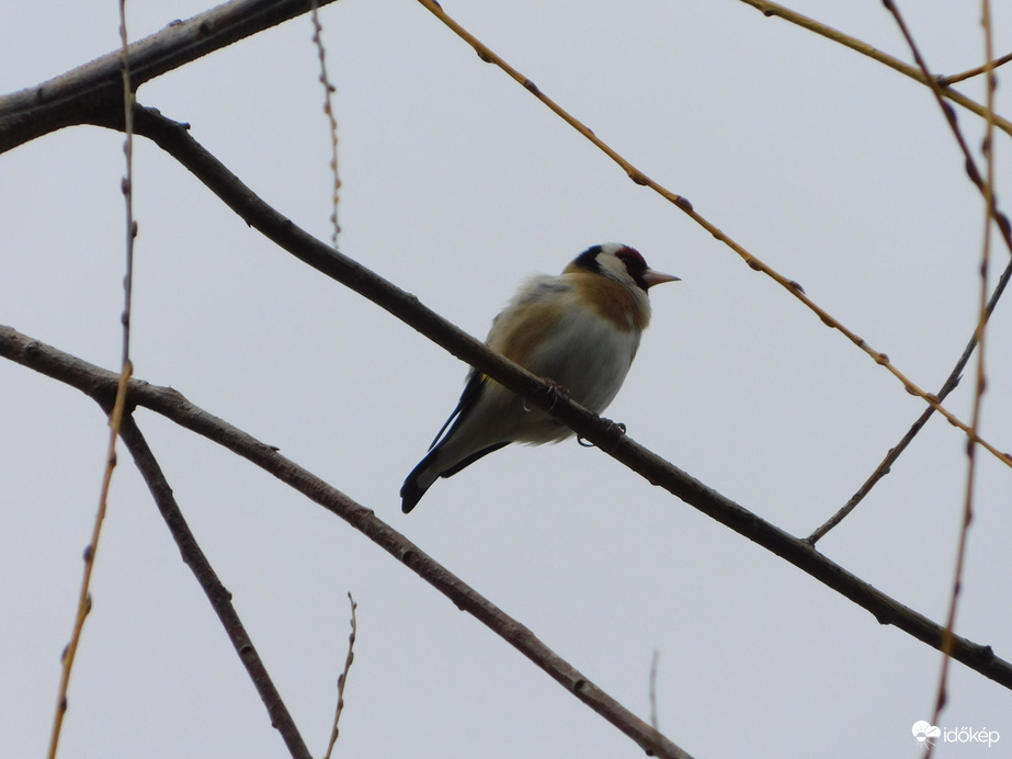 Innen mindenkit látok