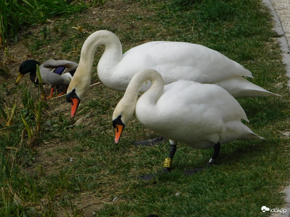 Legelészünk a parton