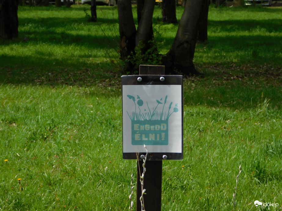 Engedd élni!