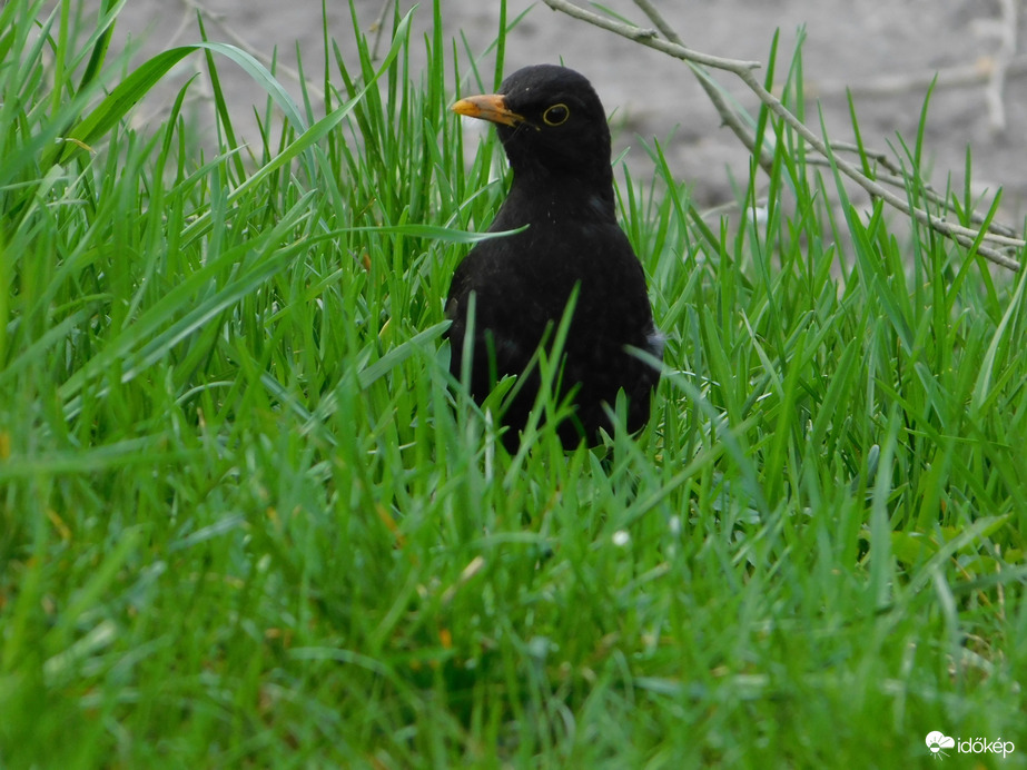 Nyújtóznom kell, hogy kilássak!