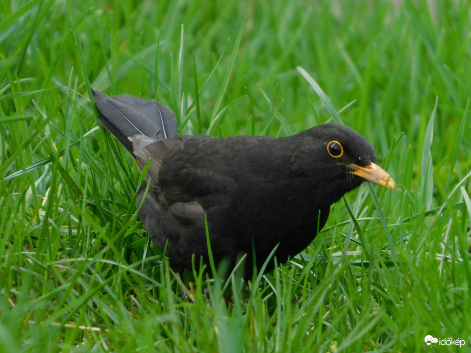 Azért figyellek ám!