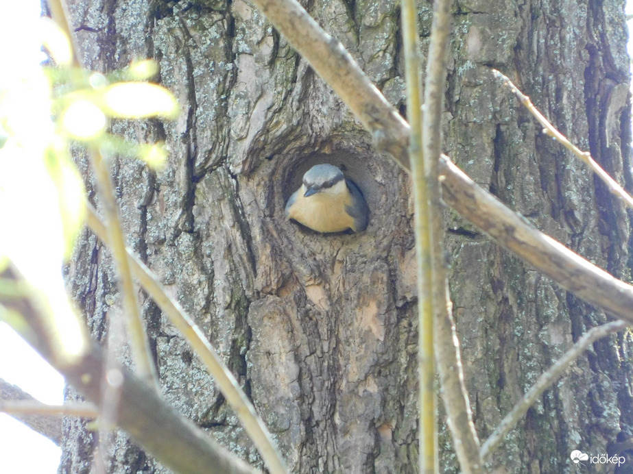 Megyek a következőért!
