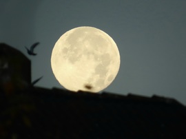 Reggelre elfáradtam! Megpihenek egy pillanatra!