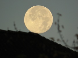 Mindjárt legurulok!