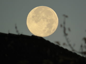 Mindjárt legurulok!