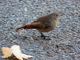 Csak egy pillanatra álltam meg!