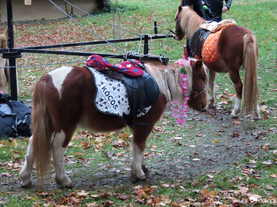 Márton napi vásár a Vasi Skanzenben